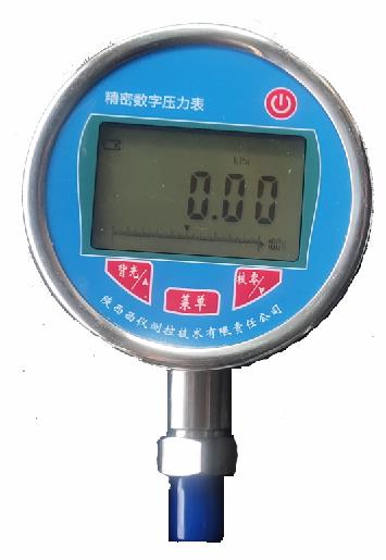 精密數(shù)字壓力表